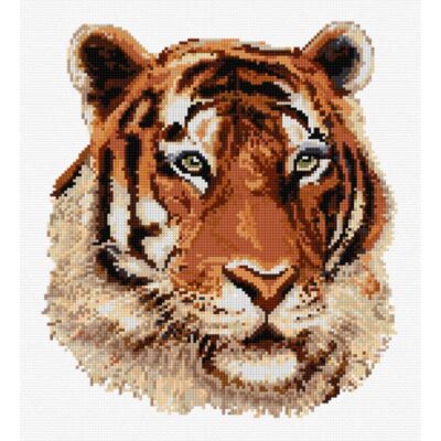 DMC TIGER CCS 25X25CM