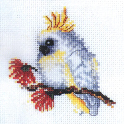 BABY COCKATOO CS15X15CM