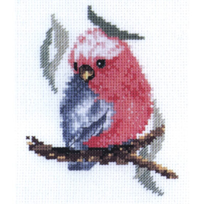BABY GALAH CS 10X10CM