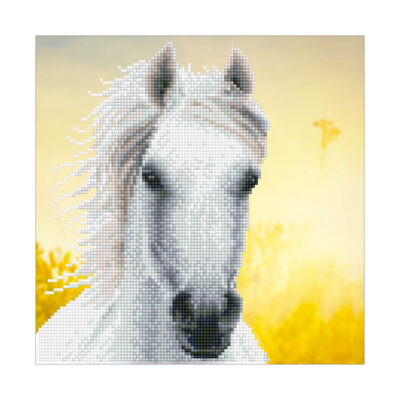 DIAMOND DOTZ DIAMOND ART